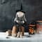 Glitzhome® 29" Halloween Fabric Dressed Witch Sitter